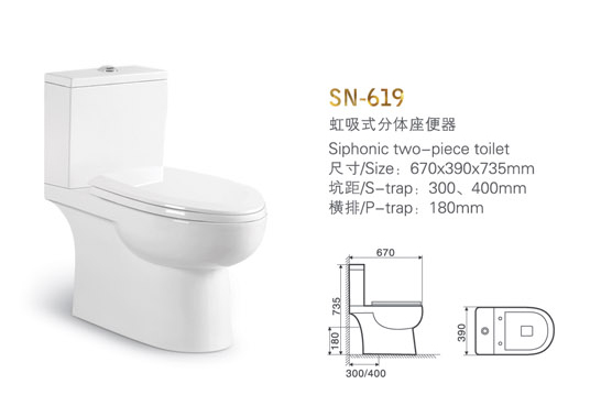 SN-619